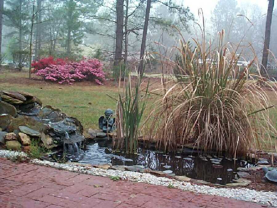 Water Garden '98